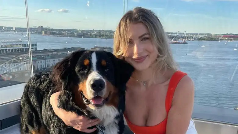 Bernese Mountain Dog Gets Overtaken With Joy When Spotting Owner At The Park