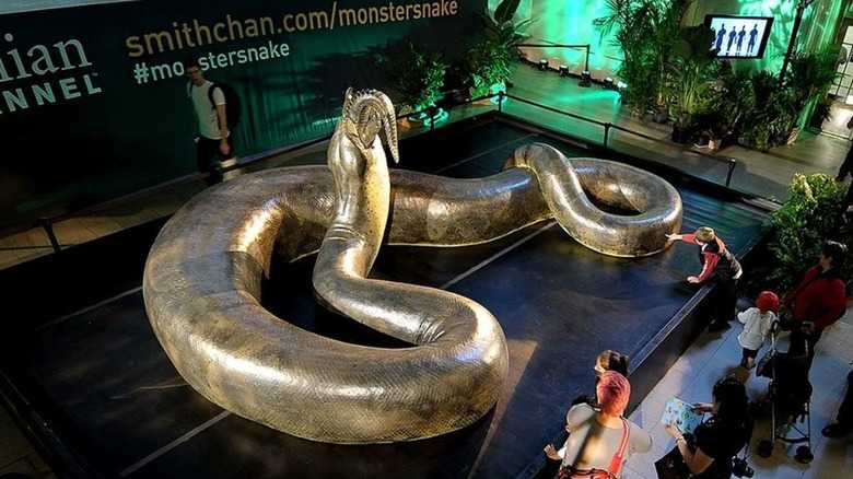 The Largest Snake Discovered In The World So Far Was Massive And Had A Huge Appetite