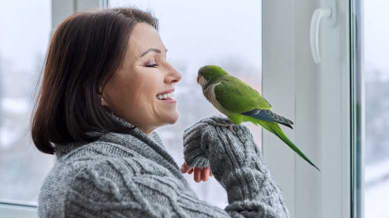 Do Pet Parrots Actually Understand What Human Words Mean? It's Complicated